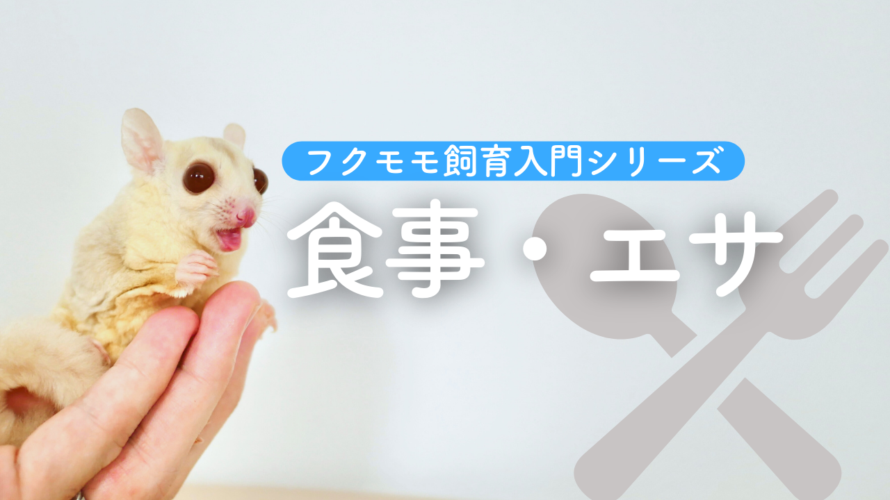 フクロモモンガの食べ物（エサ）を学ぼう｜何を食べる？量はどのくらい
