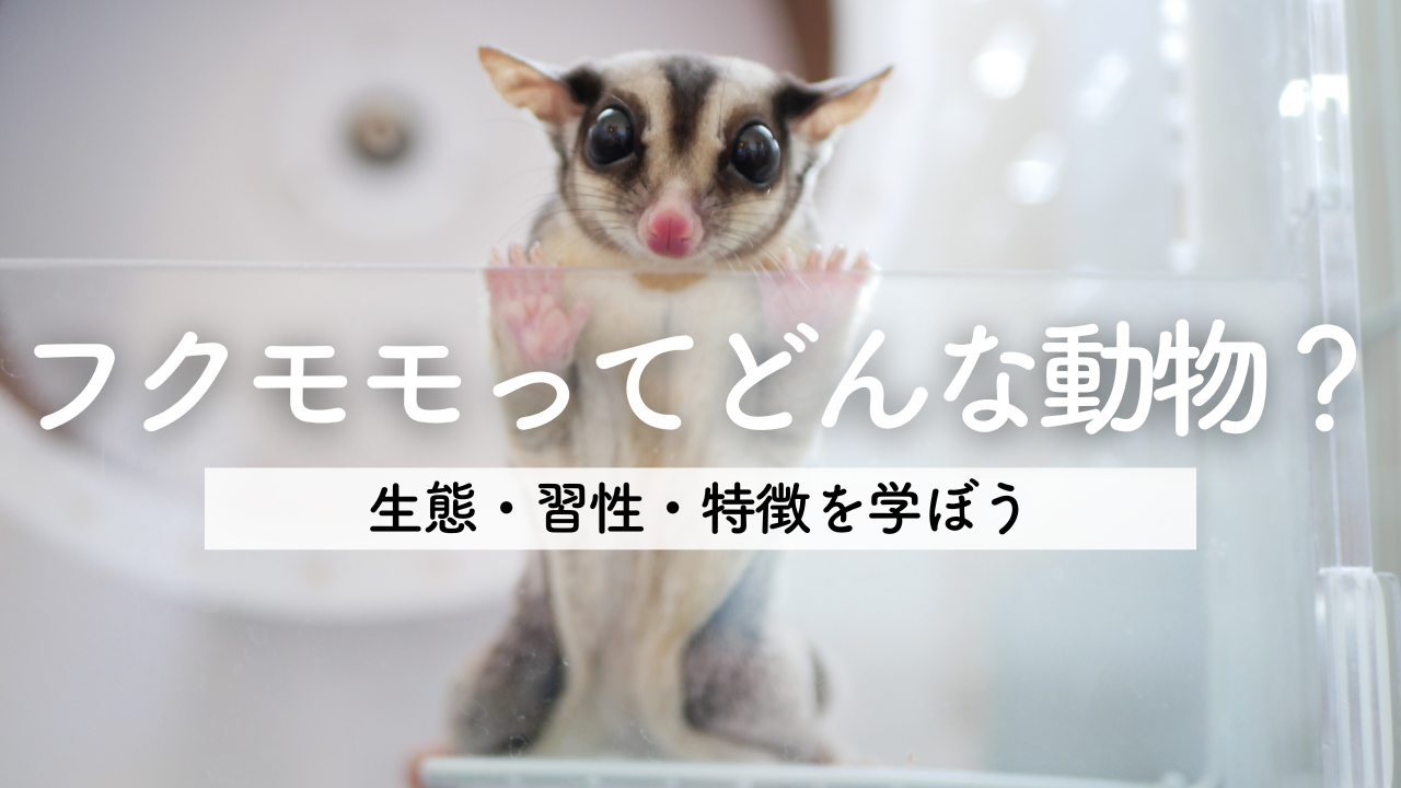 8e2110ec6a4e867224c14779d217ac